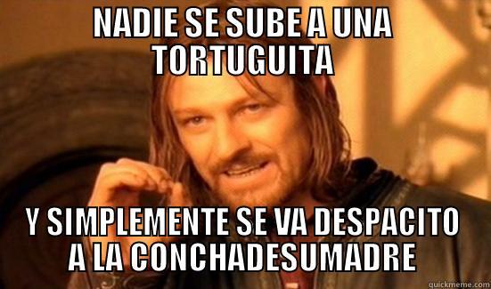 NADIE SE SUBE A UNA TORTUGUITA Y SIMPLEMENTE SE VA DESPACITO A LA CONCHADESUMADRE Boromir