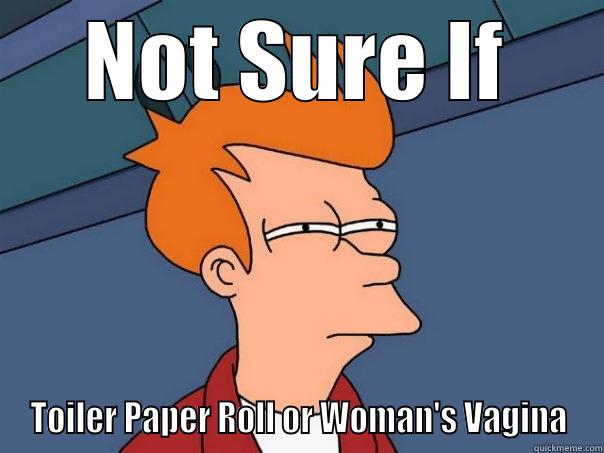 NOT SURE IF TOILER PAPER ROLL OR WOMAN'S VAGINA Futurama Fry