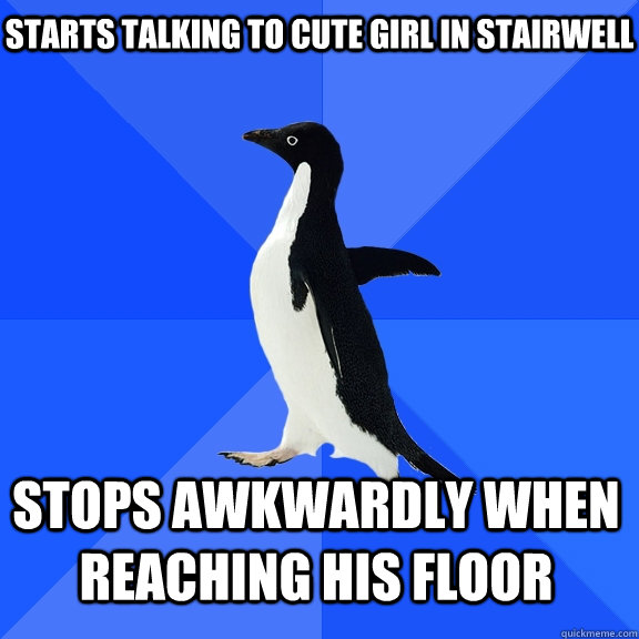Starts talking to cute girl in stairwell Stops awkwardly when reaching his floor    Socially Awkward Penguin