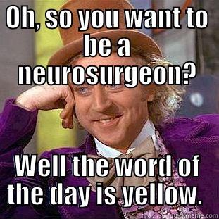 OH, SO YOU WANT TO BE A NEUROSURGEON? WELL THE WORD OF THE DAY IS YELLOW.  Condescending Wonka