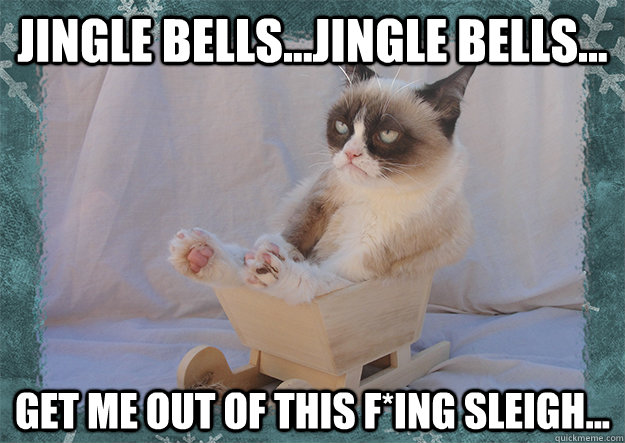 Jingle Bells...Jingle Bells... Get me out of this F*Ing Sleigh...  