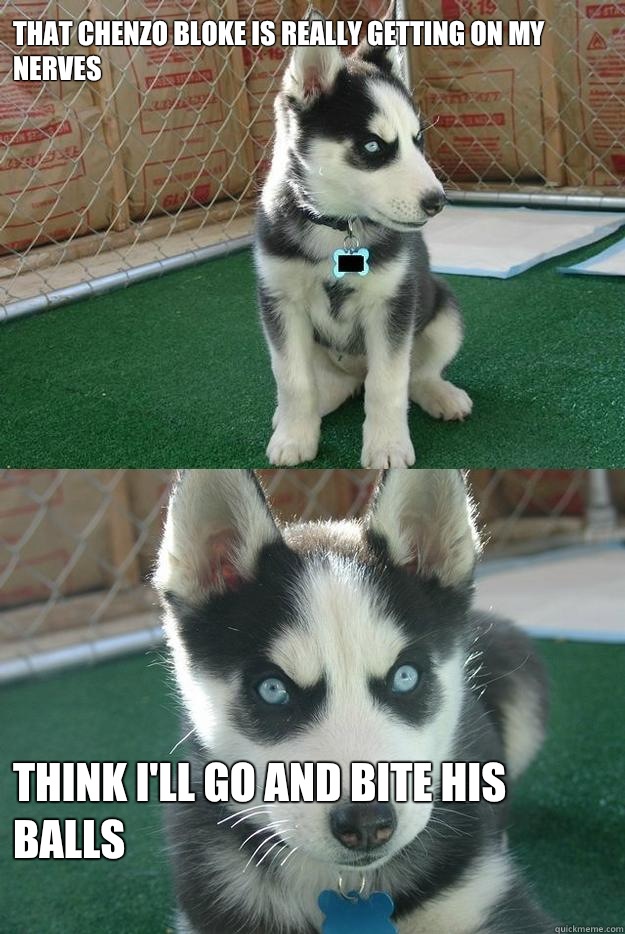 That Chenzo bloke is really getting on my nerves



 Think I'll go and bite his balls  Insanity puppy
