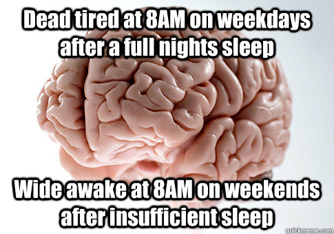 Dead tired at 8AM on weekdays after a full nights sleep Wide awake at 8AM on weekends after insufficient sleep - Dead tired at 8AM on weekdays after a full nights sleep Wide awake at 8AM on weekends after insufficient sleep  Scumbag Brain