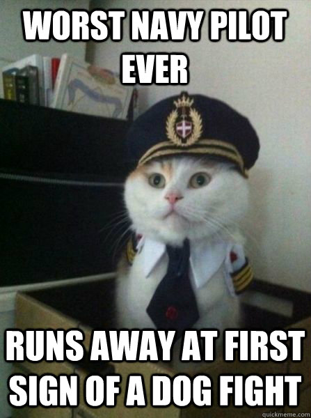 Worst Navy Pilot Ever Runs away at first sign of a dog fight  Captain kitteh