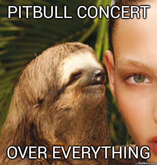 pitbull concert  over everything  rape sloth