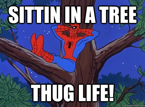 Sittin in a tree THUG LIFE!  Spider man