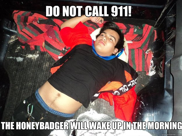 Do not call 911!  the honeybadger will wake up in the morning  Snooki
