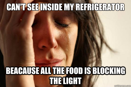 Can't see inside my refrigerator beacause all the food is blocking the light - Can't see inside my refrigerator beacause all the food is blocking the light  First World Problems