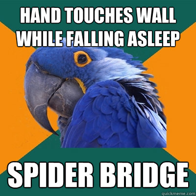 hand touches wall while falling asleep Spider bridge  Paranoid Parrot