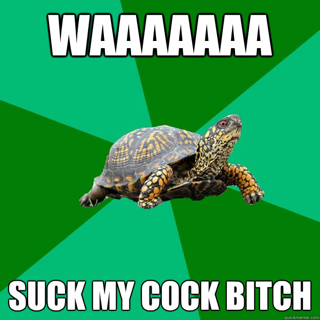 WAAAAAAA Suck My Cock Bitch  Torrenting Turtle