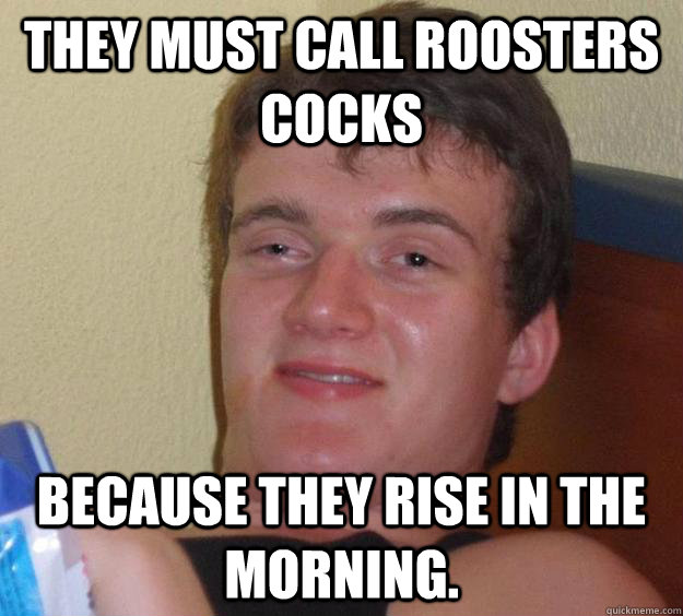 They must call roosters cocks because they rise in the morning.   10 Guy