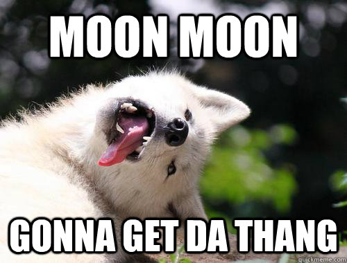 MOON MOON GONNA GET DA THANG  Moon Moon