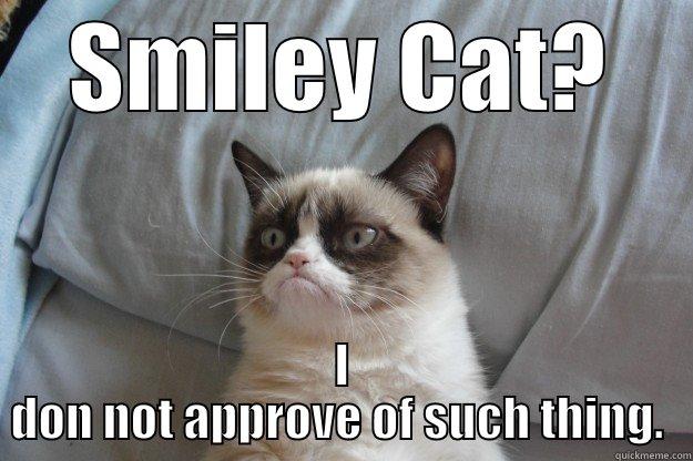 Smiley Cat? - SMILEY CAT? I DON NOT APPROVE OF SUCH THING.  Grumpy Cat