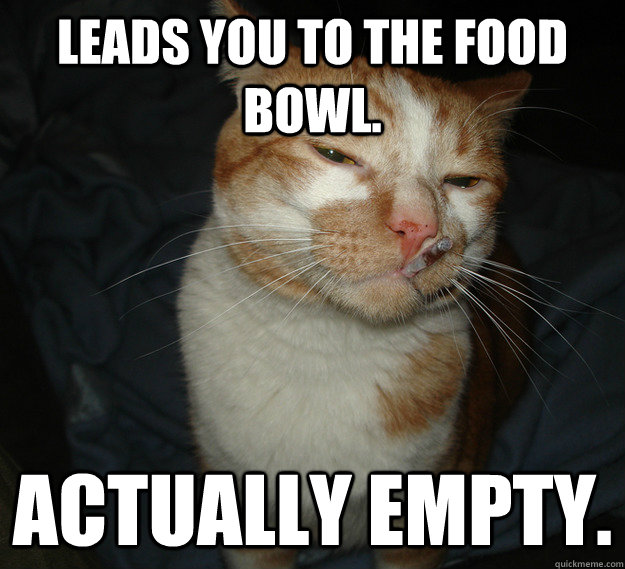 Leads you to the food bowl. Actually empty.  Cool Cat Craig