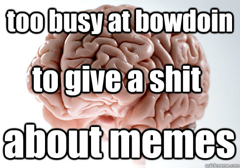 too busy at bowdoin to give a shit about memes  Scumbag Brain