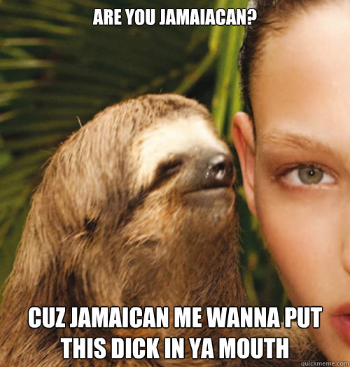 Are You Jamaiacan? cuz jamaican me wanna put this dick in ya mouth  Perverted Sloth