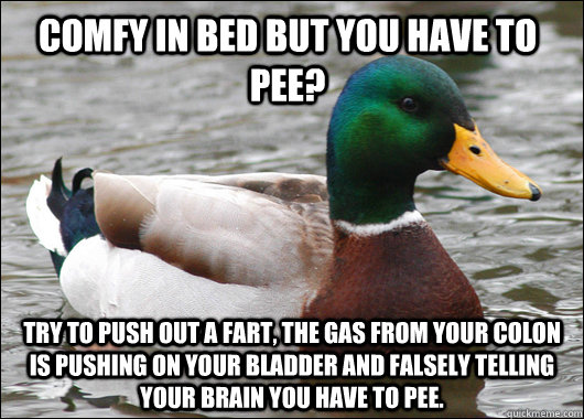 Comfy in bed but you have to pee? Try to push out a fart, the gas from your colon is pushing on your bladder and falsely telling your brain you have to pee.  Actual Advice Mallard
