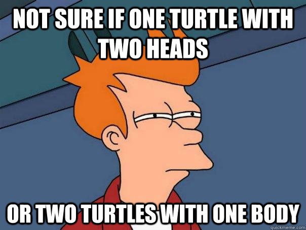 not sure if one turtle with two heads or two turtles with one body - not sure if one turtle with two heads or two turtles with one body  Futurama Fry