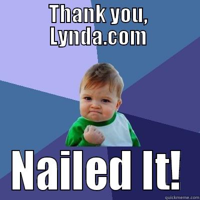 THANK YOU, LYNDA.COM NAILED IT! Success Kid