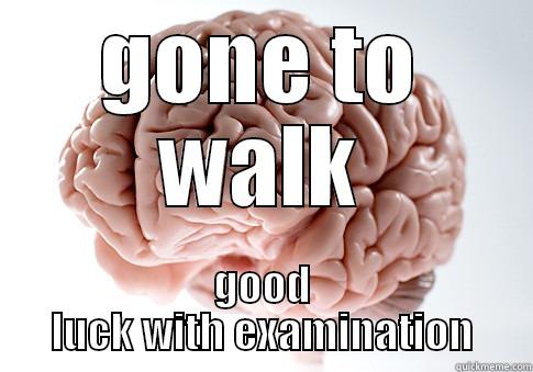 GONE TO WALK GOOD LUCK WITH EXAMINATION Scumbag Brain