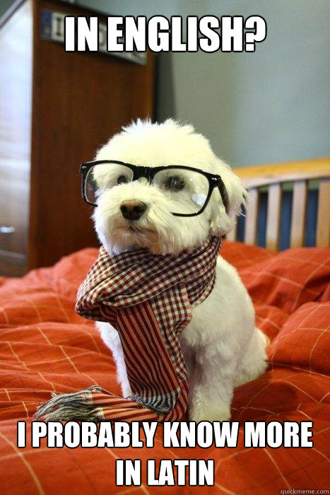 in english? I probably know more in latin  Hipster Dog