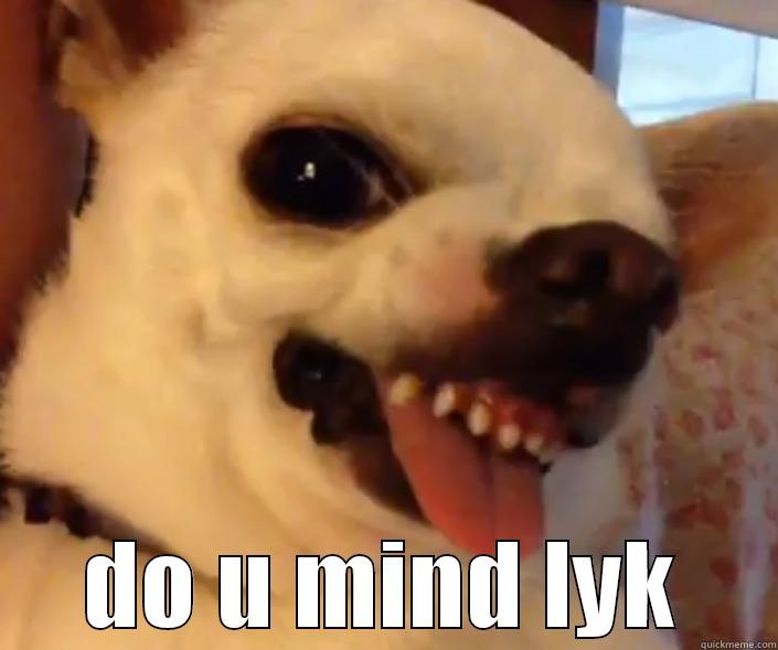  DO U MIND LYK Misc