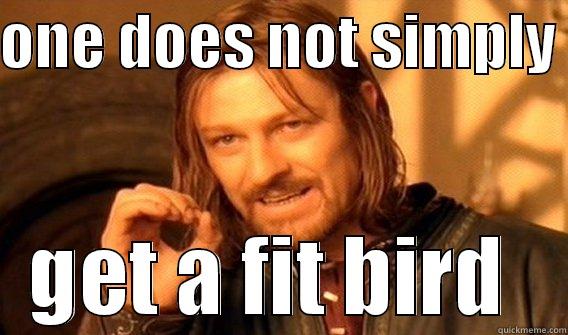 ONE DOES NOT SIMPLY  GET A FIT BIRD  One Does Not Simply