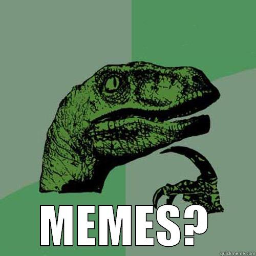  MEMES? Philosoraptor
