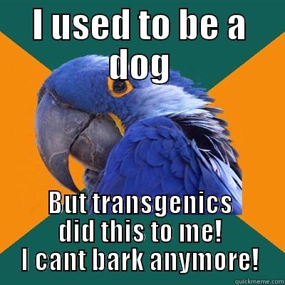 I USED TO BE A DOG BUT TRANSGENICS DID THIS TO ME! I CANT BARK ANYMORE! Paranoid Parrot