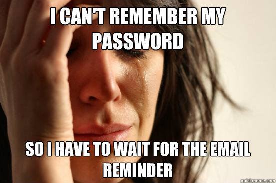 i can't remember my password so i have to wait for the email reminder  First World Problems