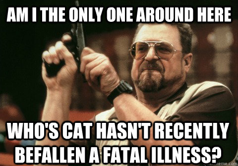 Am I the only one around here Who's cat hasn't recently befallen a fatal illness? - Am I the only one around here Who's cat hasn't recently befallen a fatal illness?  Am I the only one