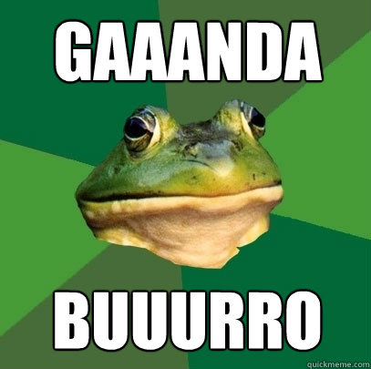 gaaanda buuurro  Foul Bachelor Frog
