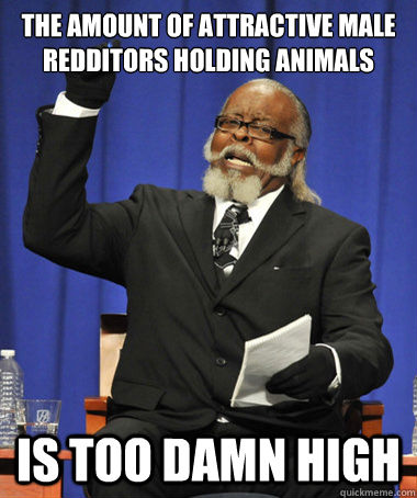 The amount of attractive male redditors holding animals is too damn high - The amount of attractive male redditors holding animals is too damn high  The Rent Is Too Damn High
