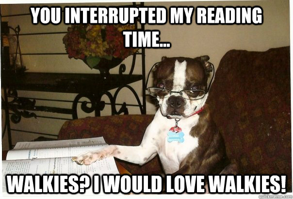 You interrupted my reading time... Walkies? i would love walkies!  