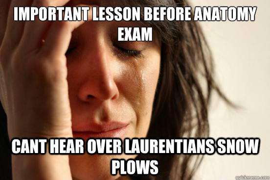 important lesson before anatomy exam cant hear over laurentians snow plows  First World Problems