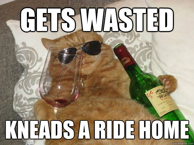 Gets wasted kneads a ride home - Gets wasted kneads a ride home  Party Cat