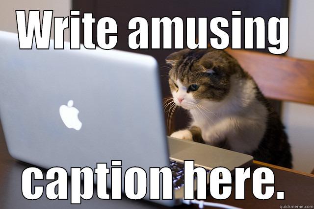 WRITE AMUSING CAPTION HERE. Misc