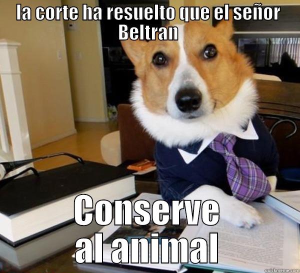LA CORTE HA RESUELTO QUE EL SEÑOR BELTRAN CONSERVE AL ANIMAL Lawyer Dog