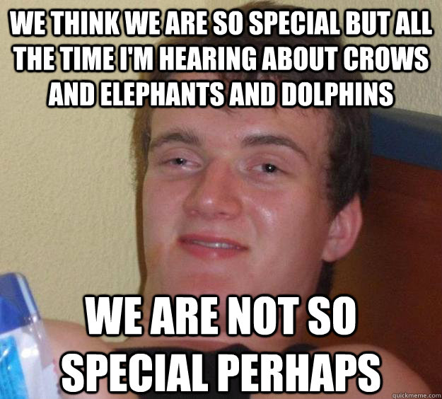 We think we are so special but all the time i'm hearing about crows and elephants and dolphins We are not so special perhaps - We think we are so special but all the time i'm hearing about crows and elephants and dolphins We are not so special perhaps  10 Guy