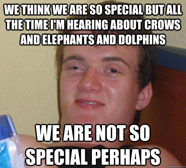 We think we are so special but all the time i'm hearing about crows and elephants and dolphins We are not so special perhaps  10 Guy