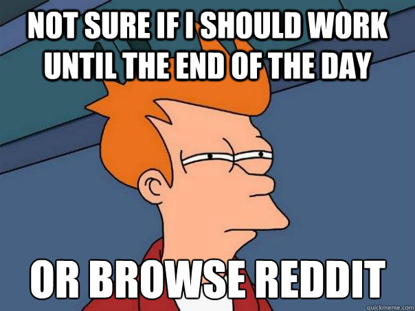 Not sure if I should work until the end of the day Or browse Reddit  Futurama Fry