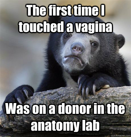 The first time I touched a vagina Was on a donor in the anatomy lab  Confession Bear