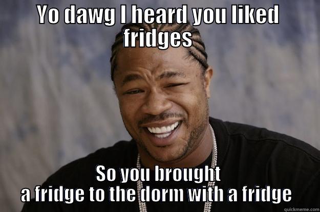 YO DAWG I HEARD YOU LIKED FRIDGES SO YOU BROUGHT A FRIDGE TO THE DORM WITH A FRIDGE  Xzibit meme