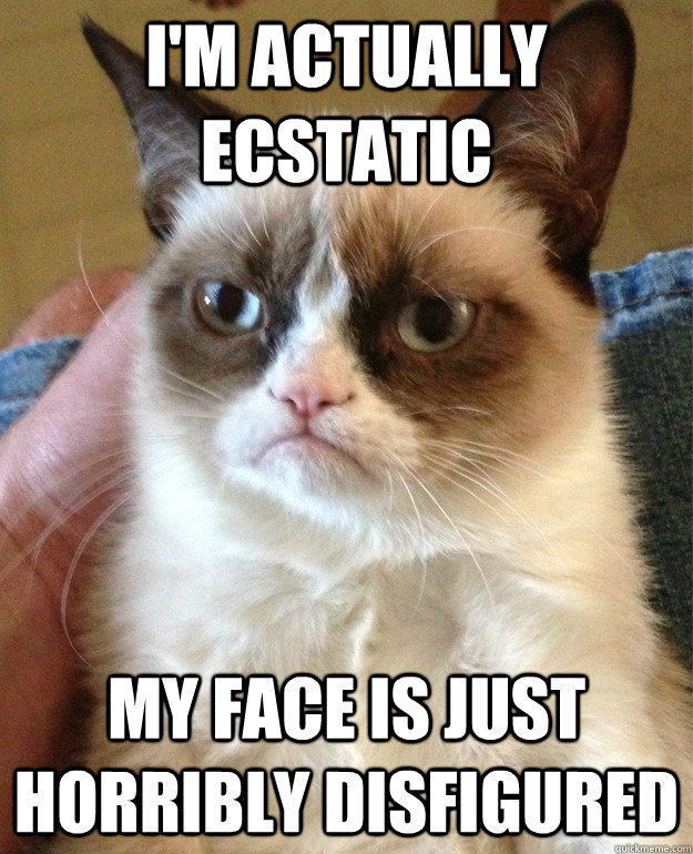 I'm actually ecstatic  my face is just horribly disfigured  Grumpy Cat