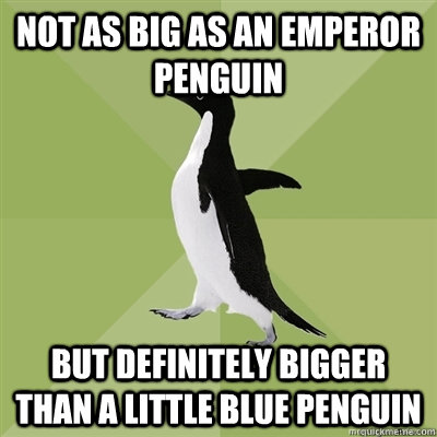 not as big as an emperor penguin but definitely bigger than a little blue penguin - not as big as an emperor penguin but definitely bigger than a little blue penguin  Socially Average Penguin