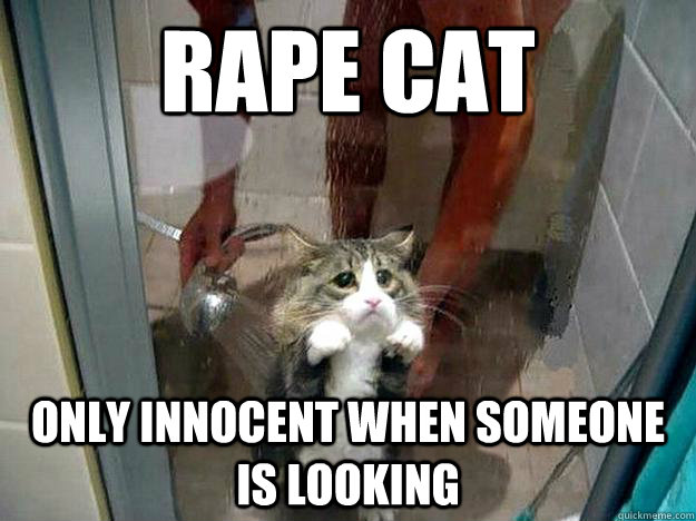rape cat only innocent when someone is looking - rape cat only innocent when someone is looking  Shower kitty