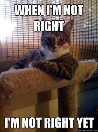 when i'm not right I'M NOT RIGHT YET  The Most Interesting Cat in the World