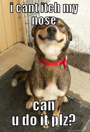 I CANT ITCH MY NOSE CAN U DO IT PLZ? Good Dog Greg