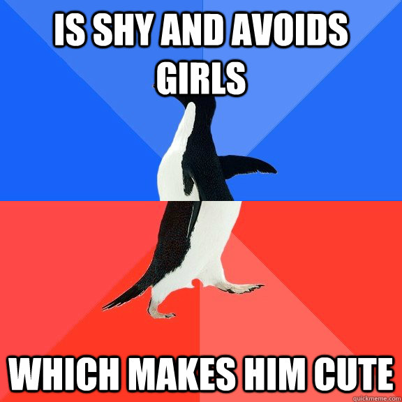 Is shy and avoids girls which makes him cute  Socially Awkward Awesome Penguin