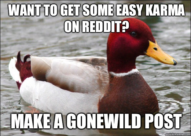 Want to get some easy karma on reddit? Make a Gonewild post  Malicious Advice Mallard